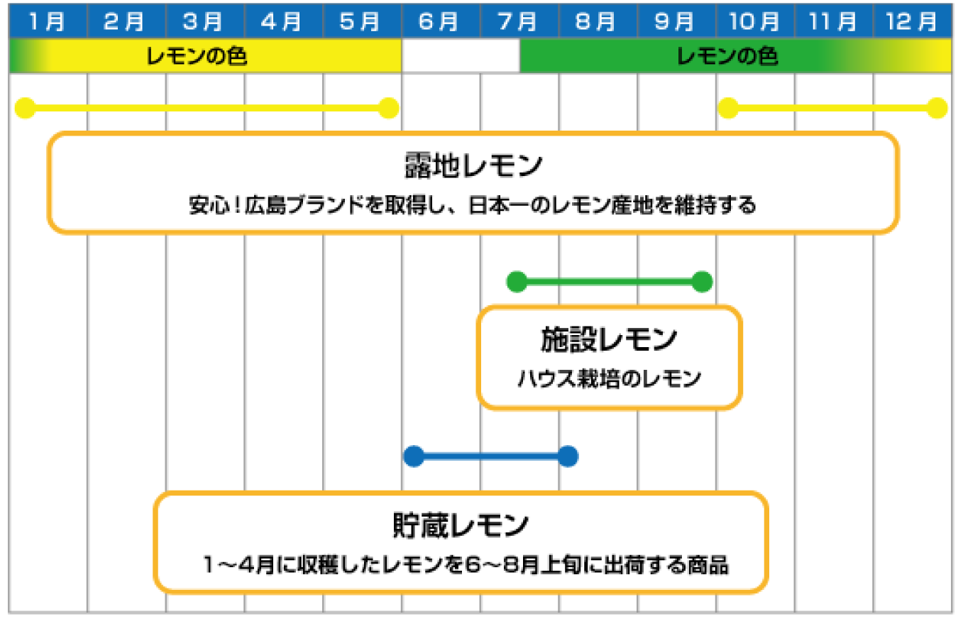 レモンの販売時期