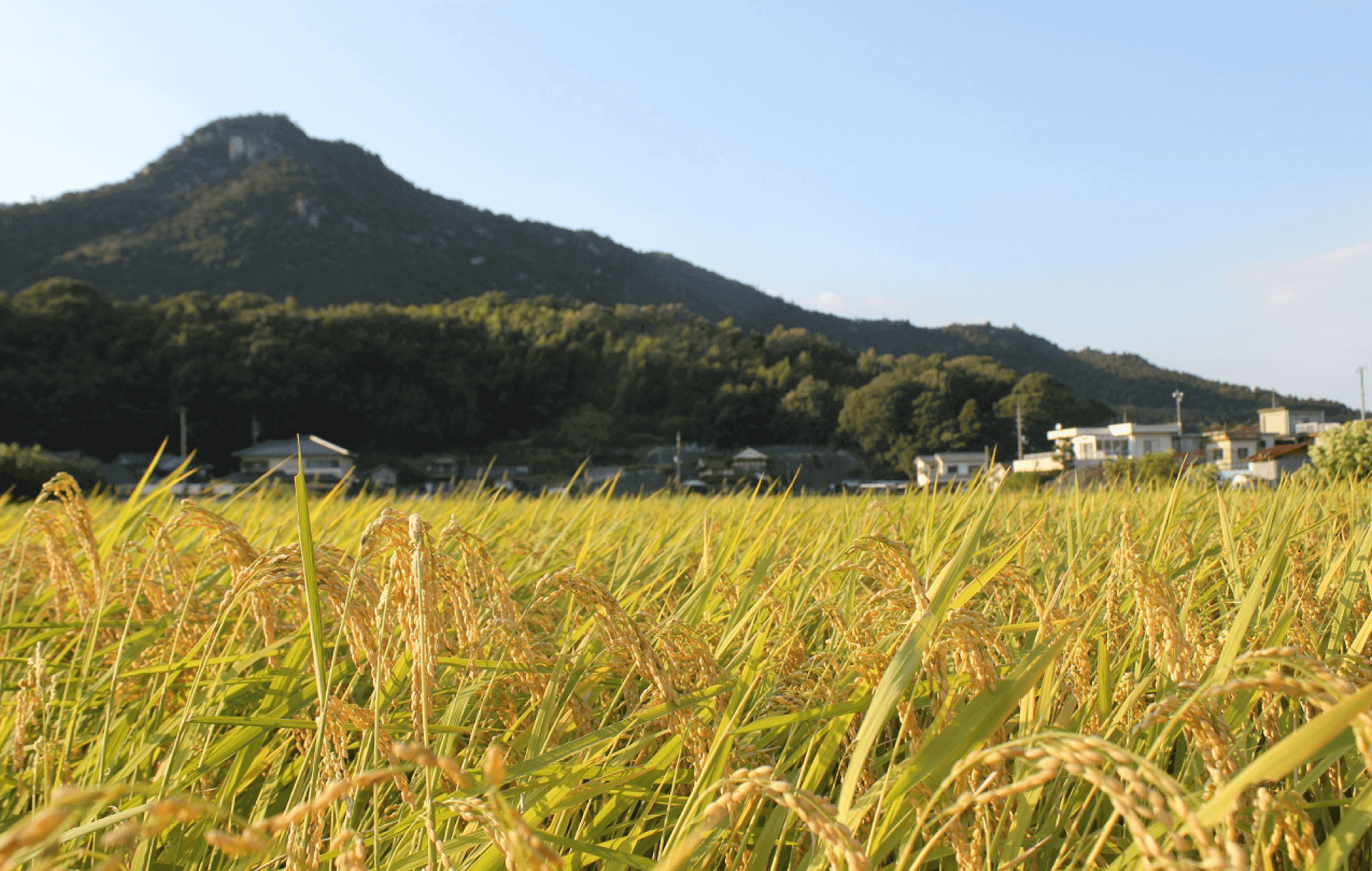 知ってる?JAひろしま JAひろしま概要