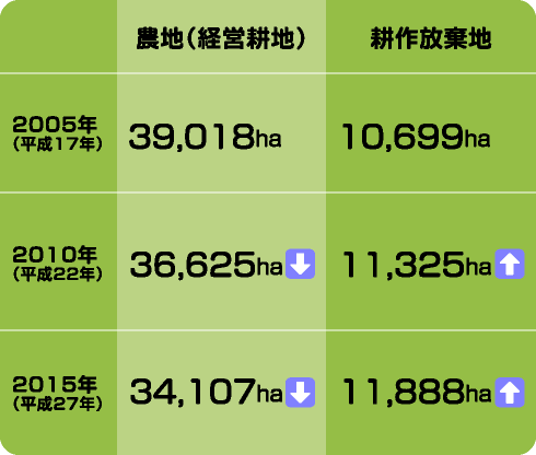 農地(経営耕地)と<br>耕作放棄地の面積は?